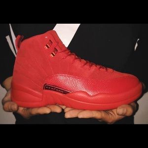Air Jordan 12
